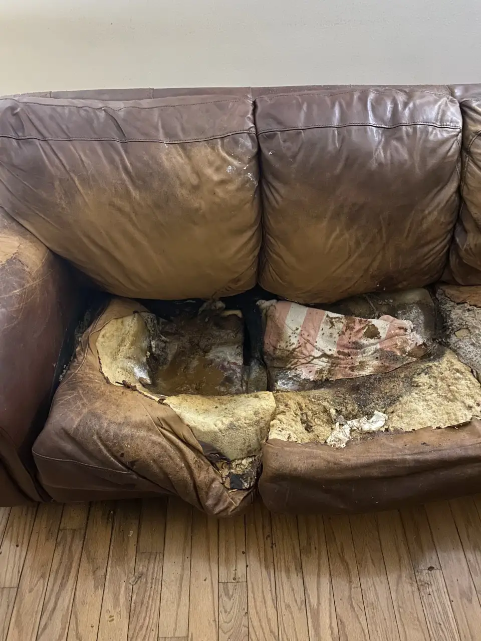 Lacey Fletcher gençlik yılları